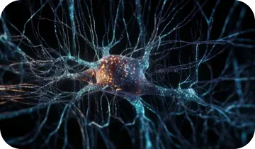 MemoVolt Support Your Brain's Ability