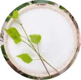 Xylitol